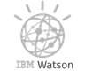 ibm_watson